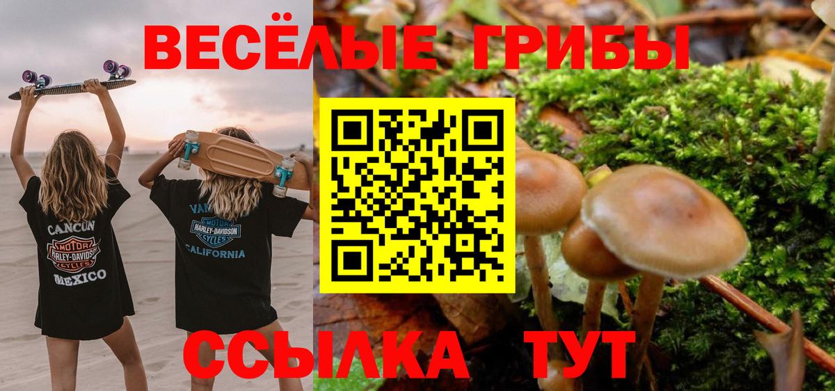 Псилоцибиновые грибы прущие грибы Арсеньев